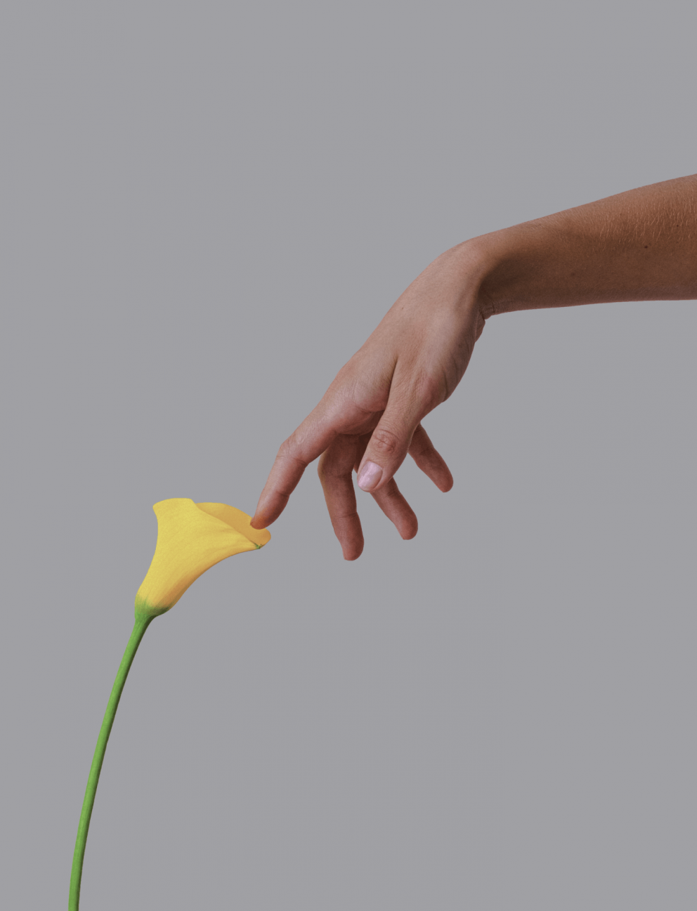 Інтимна контурна пластика великих статевих губ