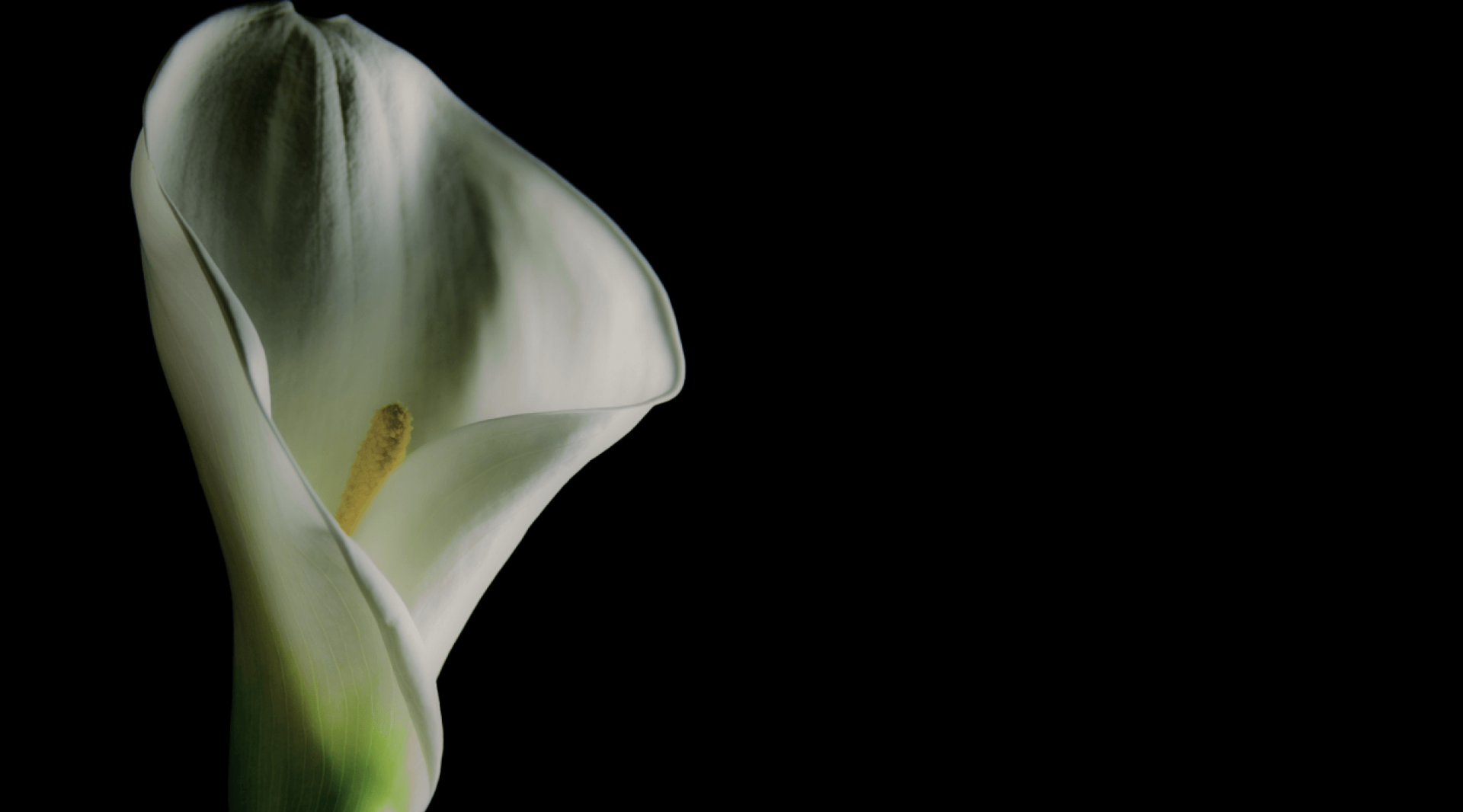 Контурна пластика при стресовому нетриманні сечі