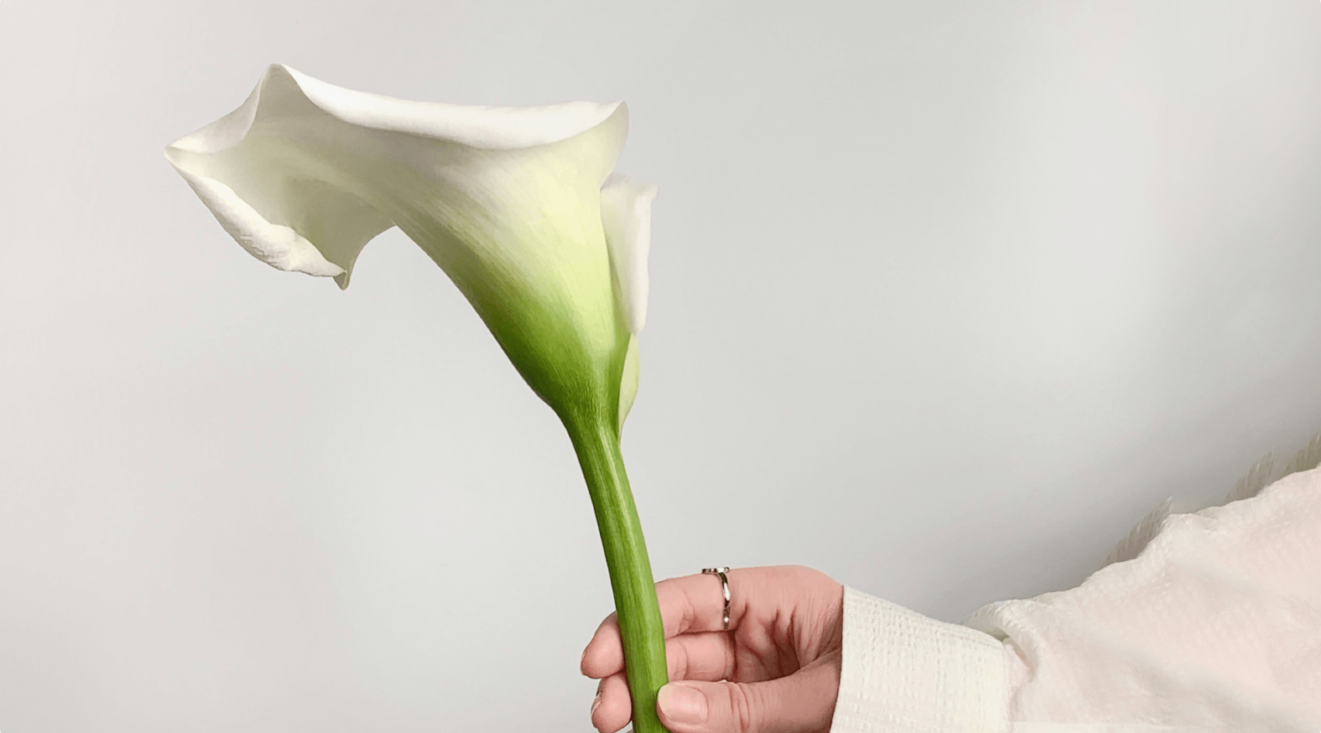 Конусексцизія (конізація) шийки матки з лазерною обробкою шийки матки