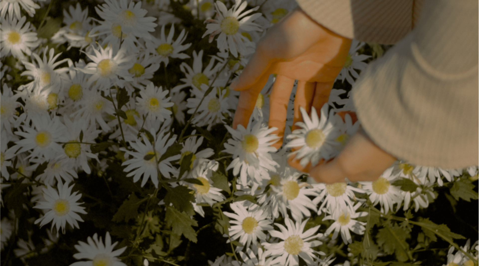 Лазерне лікування нетримання сечі