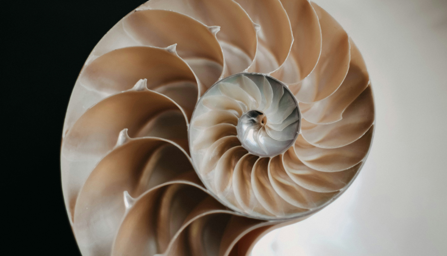 ВСТАНОВЛЕННЯ ВНУТРІШНЬОМАТКОВОЇ СПІРАЛІ У КИЄВІ