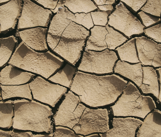 ЩО РОБИТИ, ЯКЩО ЛУЩИТЬСЯ ШКІРА?