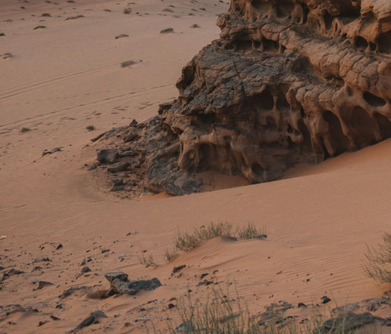 КЕРАТОМА: ПРИЧИНИ, СИМПТОМИ, ЛІКУВАННЯ ТА ПРОФІЛАКТИКА