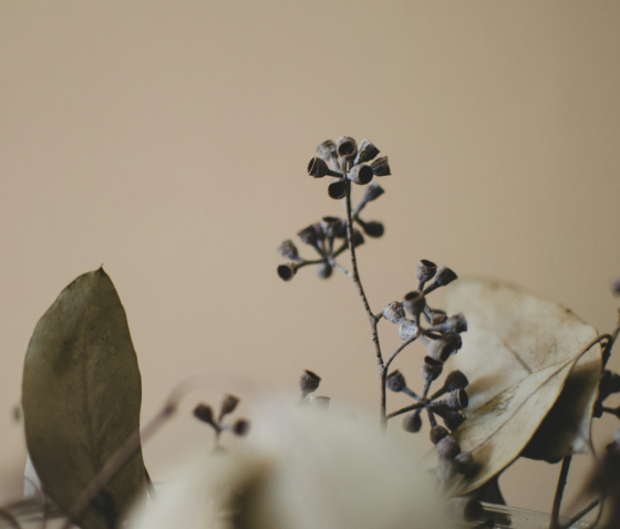 СУХІСТЬ ПІХВИ. МЕТОДИ ЛІКУВАННЯ СУХОСТІ ПІХВИ